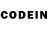 Псилоцибиновые грибы GOLDEN TEACHER Pasichnik