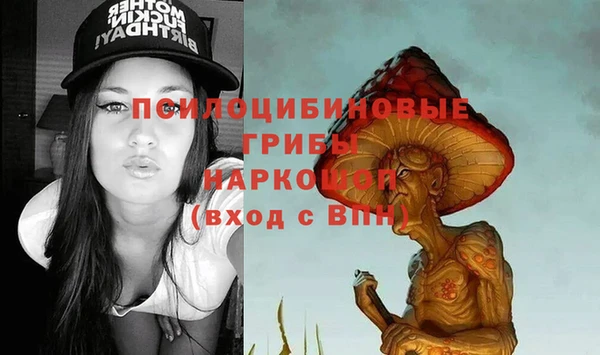 соль курить ск Бородино