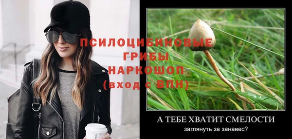 синтетический гашиш Богородск