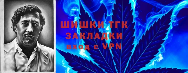 прущий лед Богданович